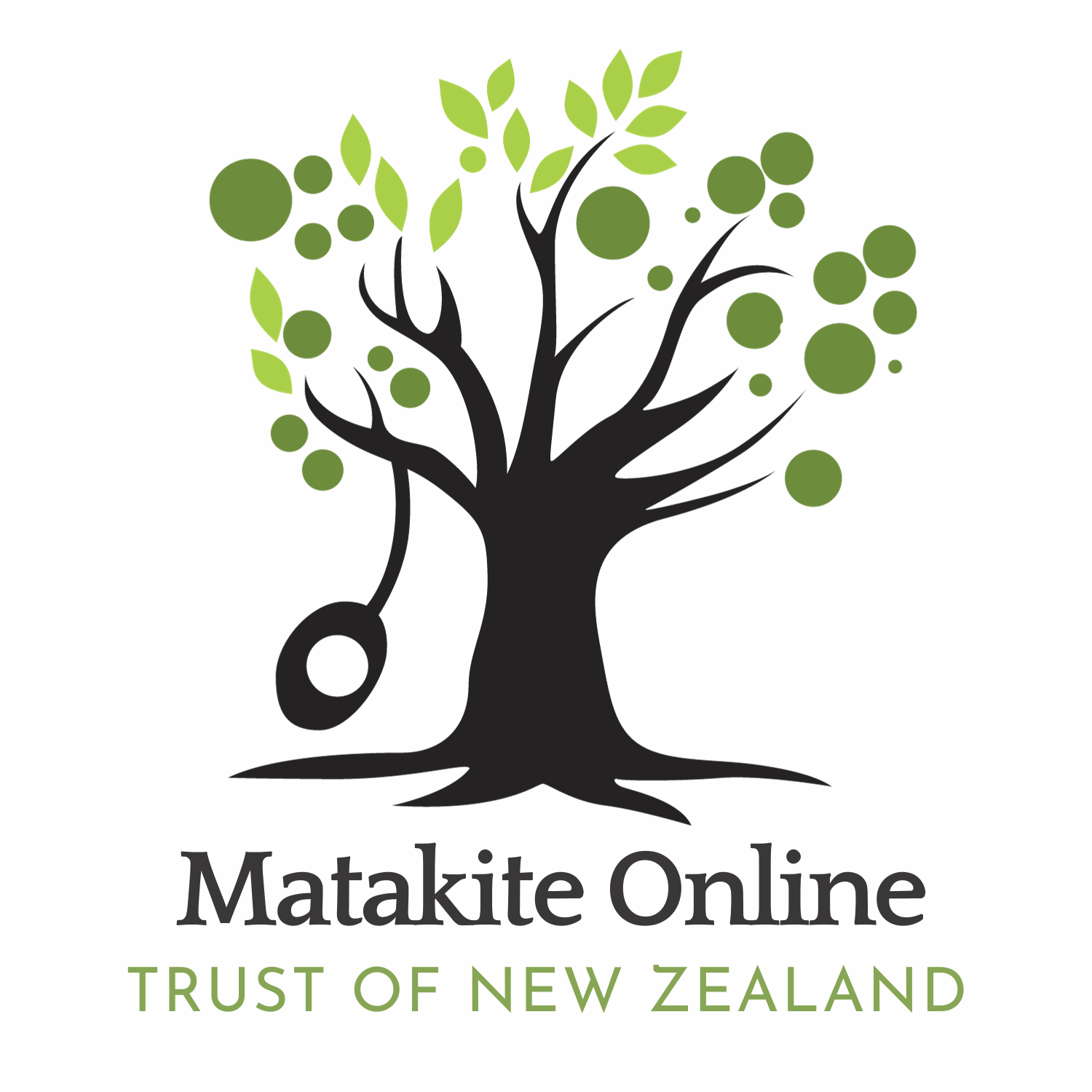 Matakite Trust Logo 1500x Light